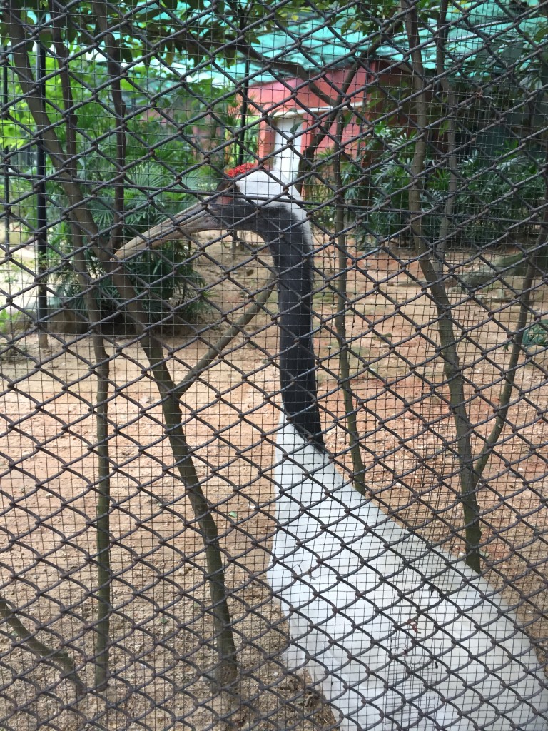20150704_093239417_iOS