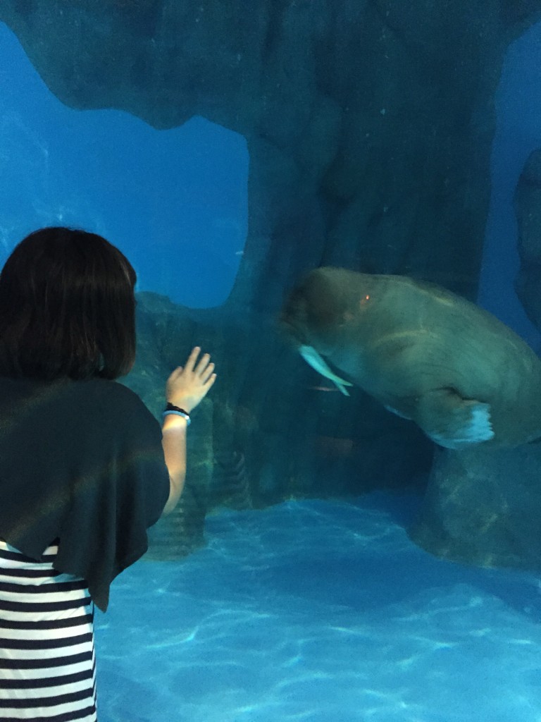 20150915_043912998_iOS