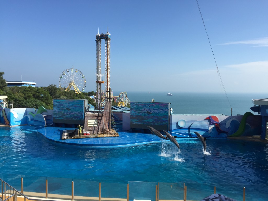 20150915_074149872_iOS