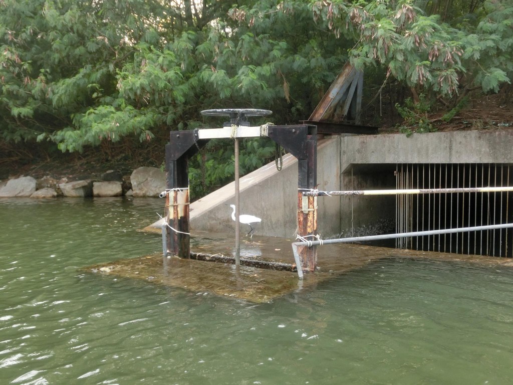 12186766_10154010037378029_3796034106012335849_o